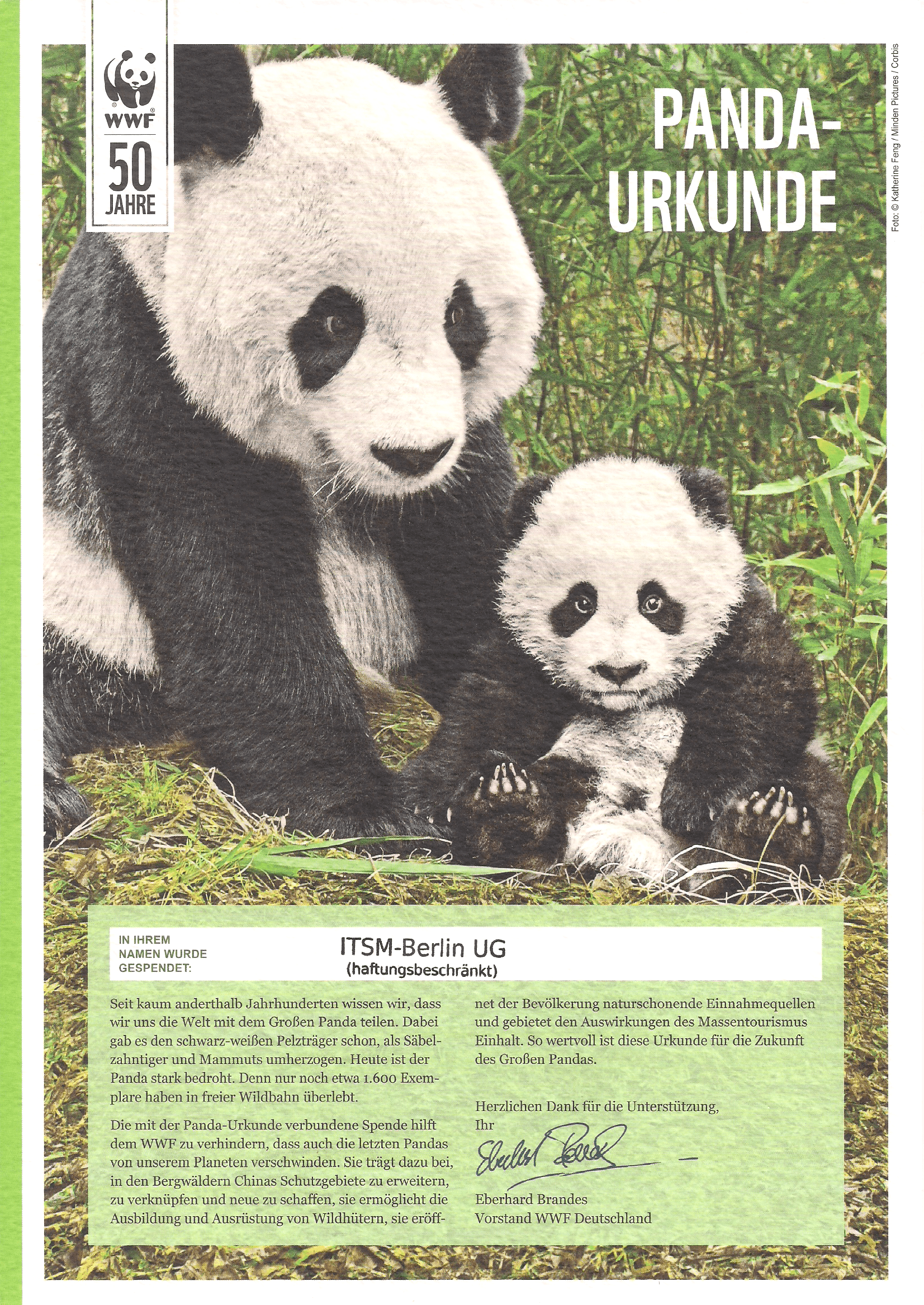 Urkunde für eine Spende zum Schutz der Pandas